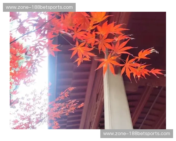 硅谷之光与枫叶之城：圣何塞与温哥华的魅力对决